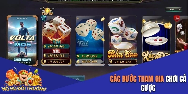 Các bước tham gia chơi cá cược