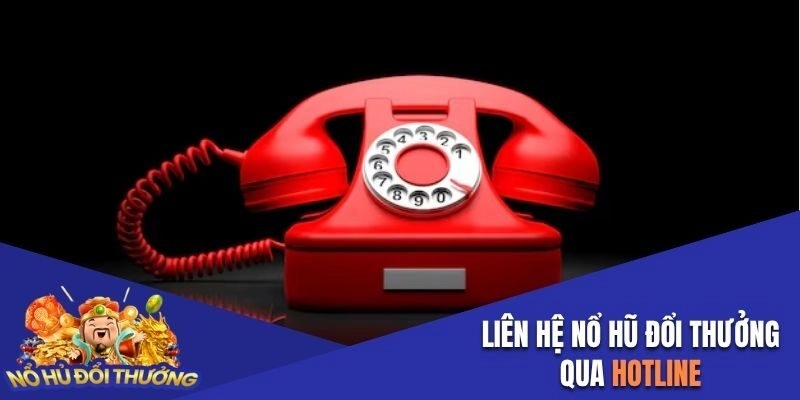 Liên hệ tới website thông qua đường dây nóng